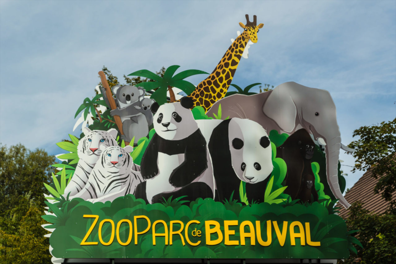 https://www.airius.solutions/wp-content/uploads/ZooParc-de-Beauval-1280x853.png