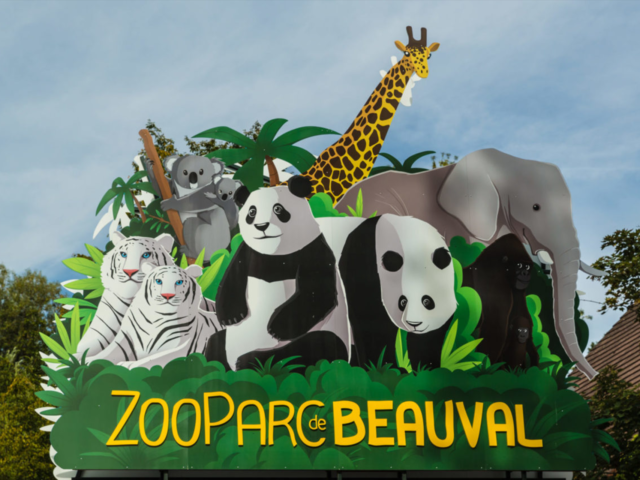 https://www.airius.solutions/wp-content/uploads/ZooParc-de-Beauval-640x480.png