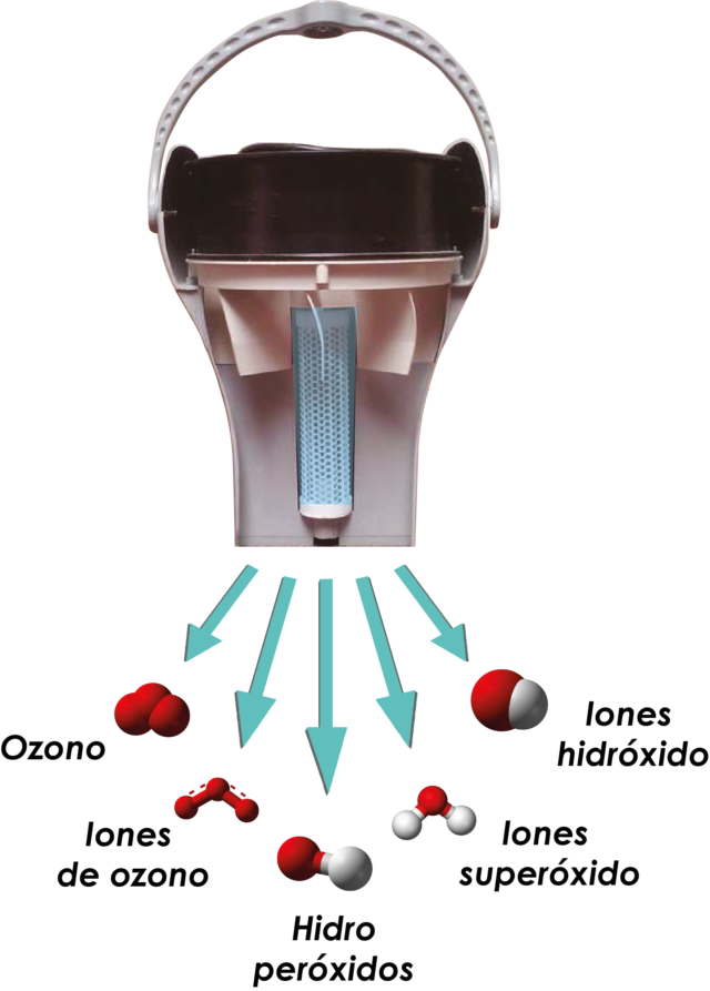 Ozono - iones de ozono - hidroperóxidos - iones superóxido - iones hidróxido